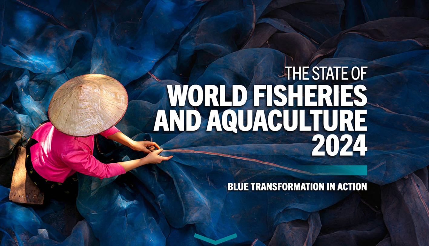 FAO’s:  The State of World Fisheries and Aquaculture 2024